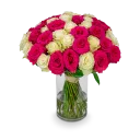 Bouquet of pink and white roses